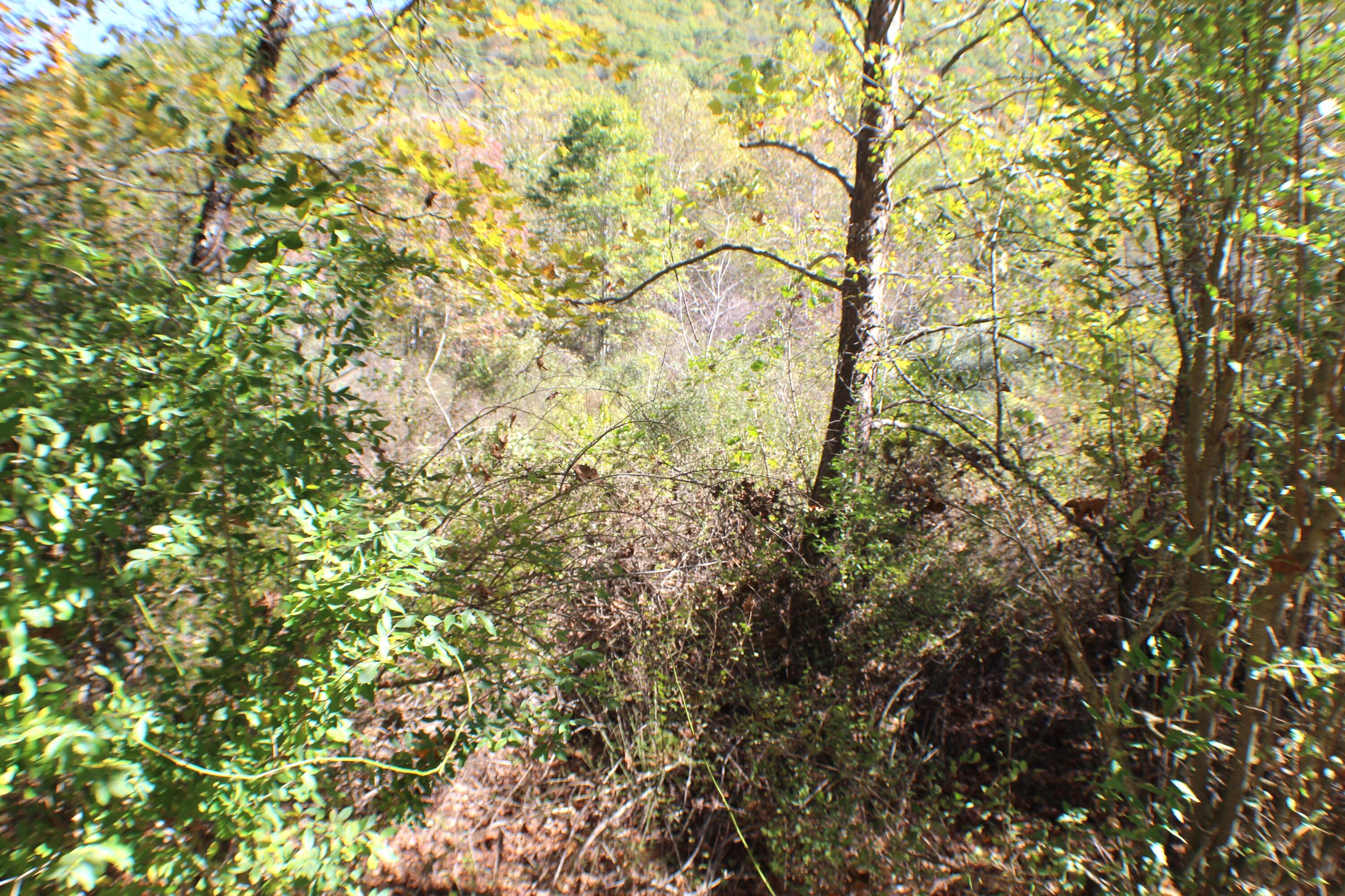 27-2 Co Route Marlinton, WV 24954 - Photo 11 of 13 Gallery Image 11