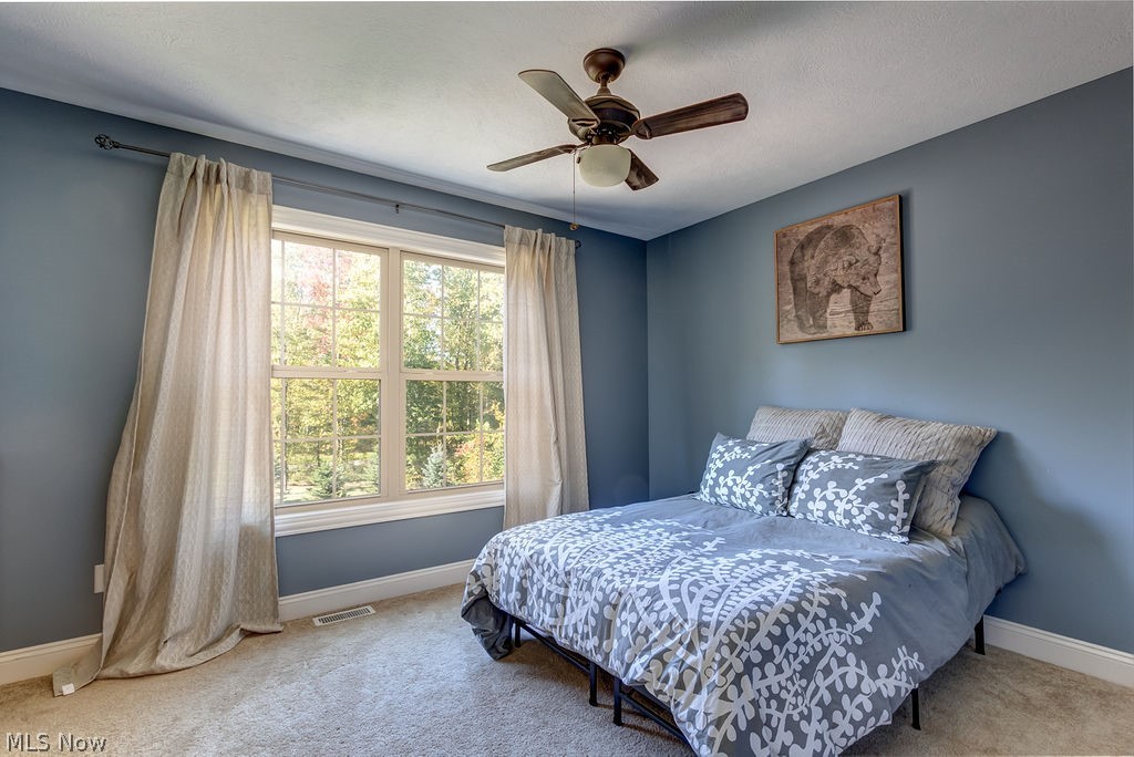 12167 Girdled Road Painesville, OH 44077 - Photo 24 of 35 Gallery Image 24