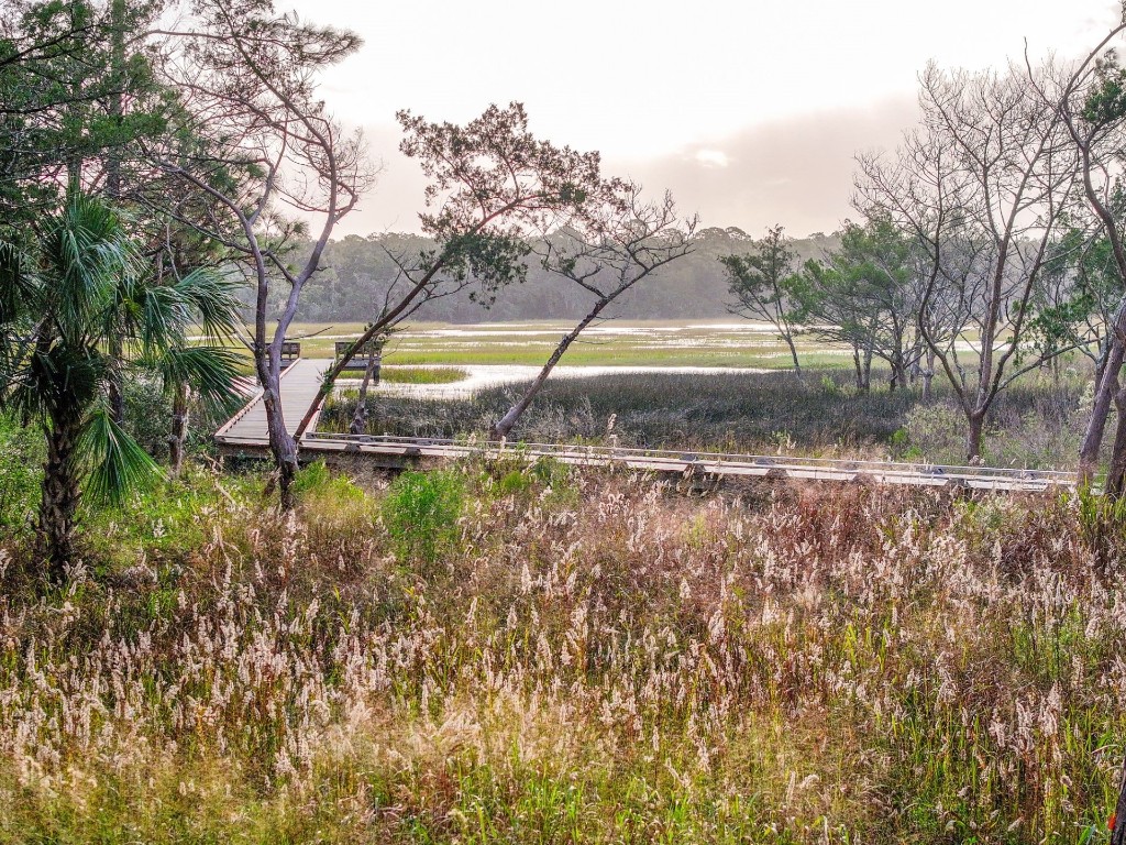 95 Old Well Road Fernandina Beach, FL 32034 - Photo 24 of 24 Crane Island Walking Paths