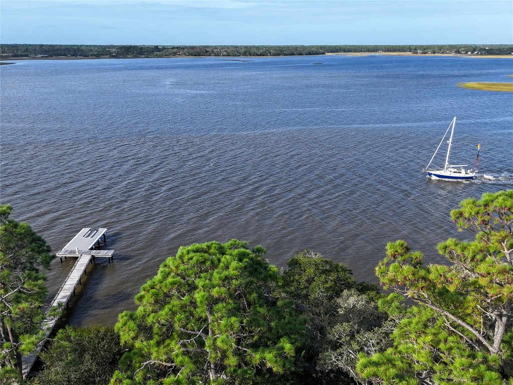 95 Old Well Road Fernandina Beach, FL 32034 - Photo 5 of 24 Overhead with Dock
