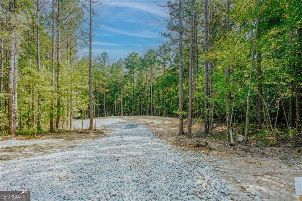 362 Pleasant Hill Road Rockmart, GA 30153 - Photo 46 of 57 Gallery Image 46