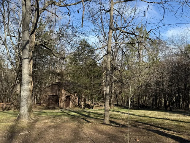 a view of a yard with large trees