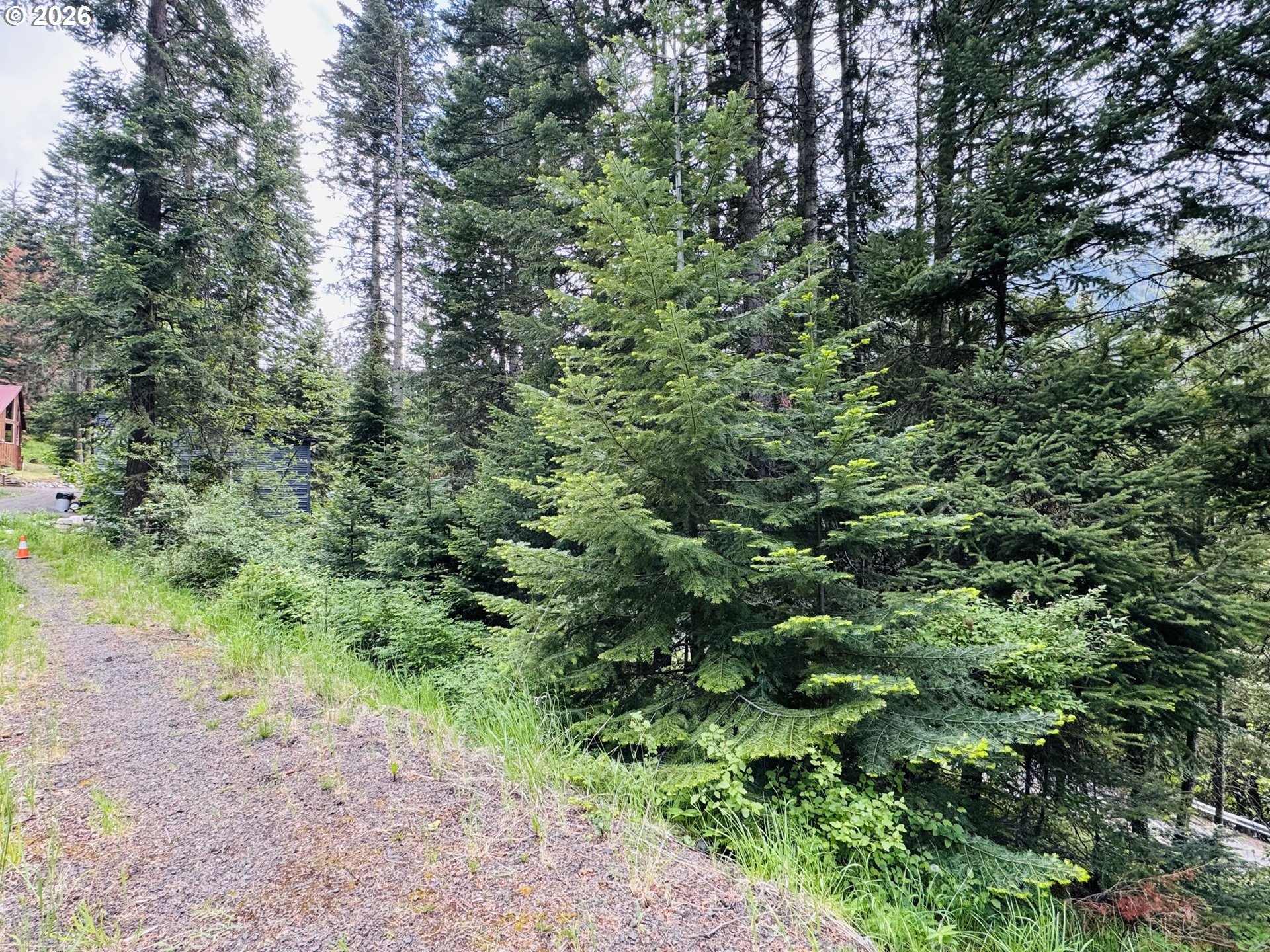 0 Forest Dell Road Joseph, OR 97846 - Photo 15 of 18
