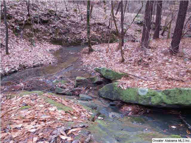 115 Overlook Terrace Helena, AL 35080 - Photo 7 of 32