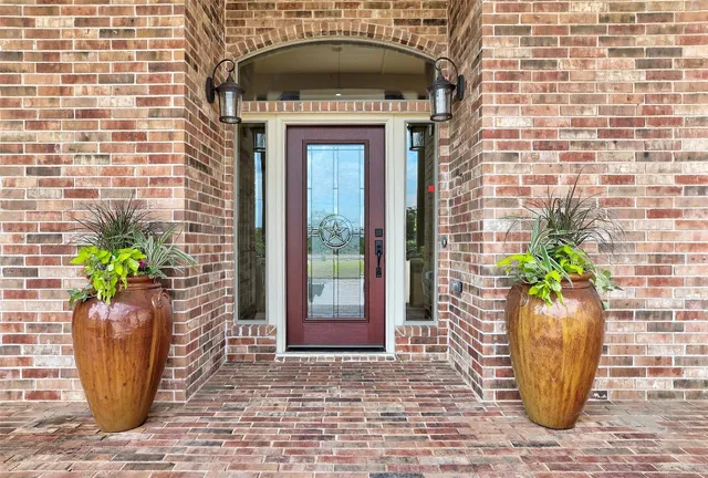 a potted plant sitting in front of a door