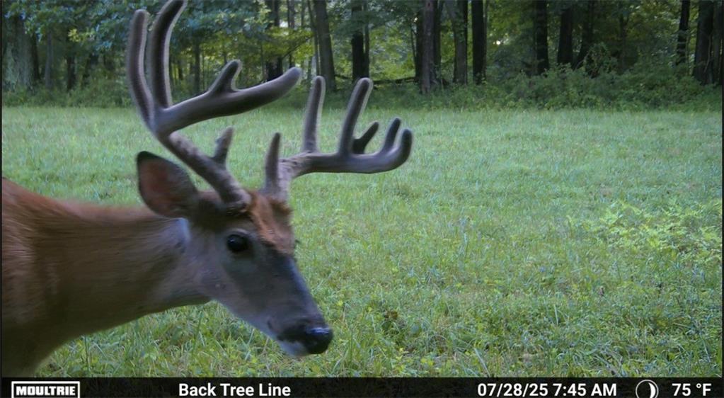 132 Hi Acres Road Greensburg, PA 15601 - Photo 39 of 42