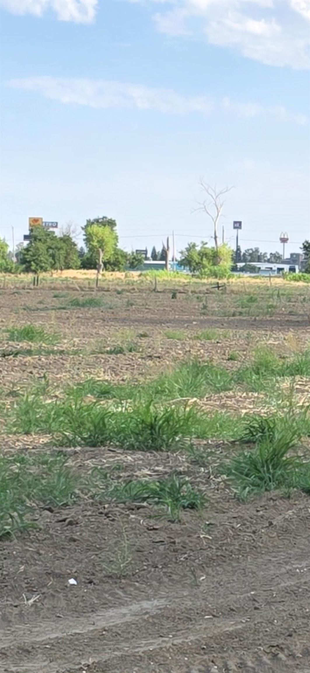 0 Hwy 99 W, Unit INTERSTATE 5 Corning, CA 96021 - Photo 10 of 10