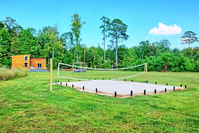 a view of a park with large trees