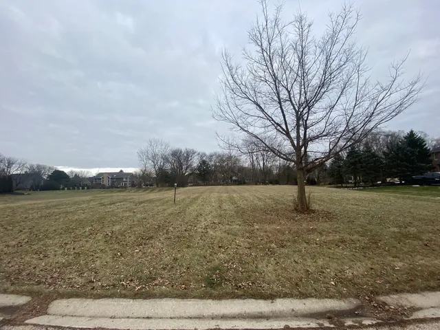 a view of a field with trees in background