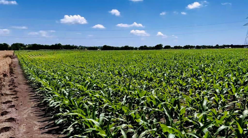 9775 County Road 505 Alvarado, TX 76009 - Photo 2 of 2 a view of a lake with a house in the background