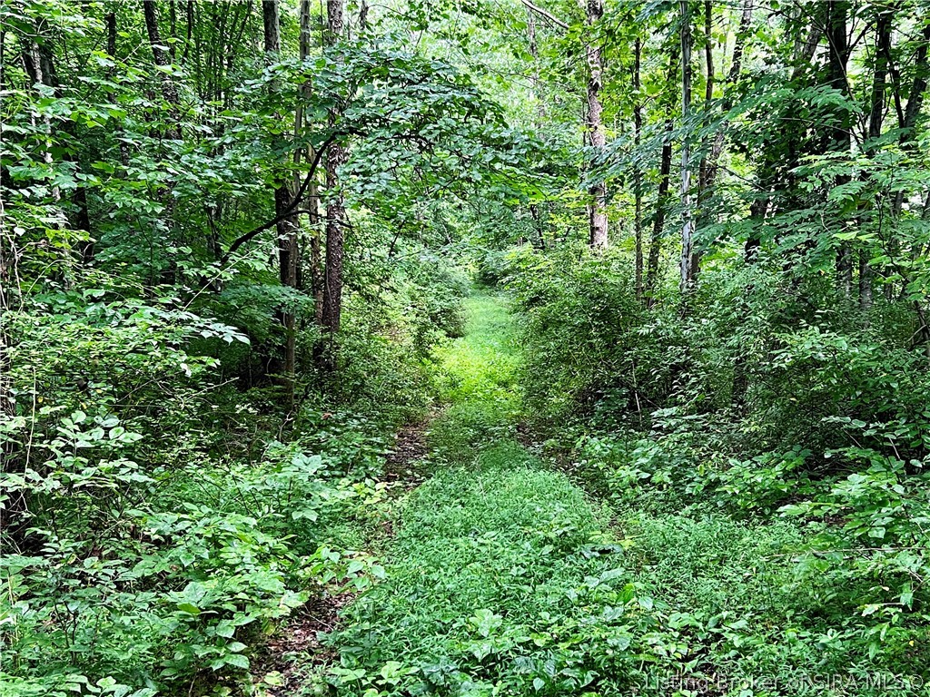 Gallery Image 6