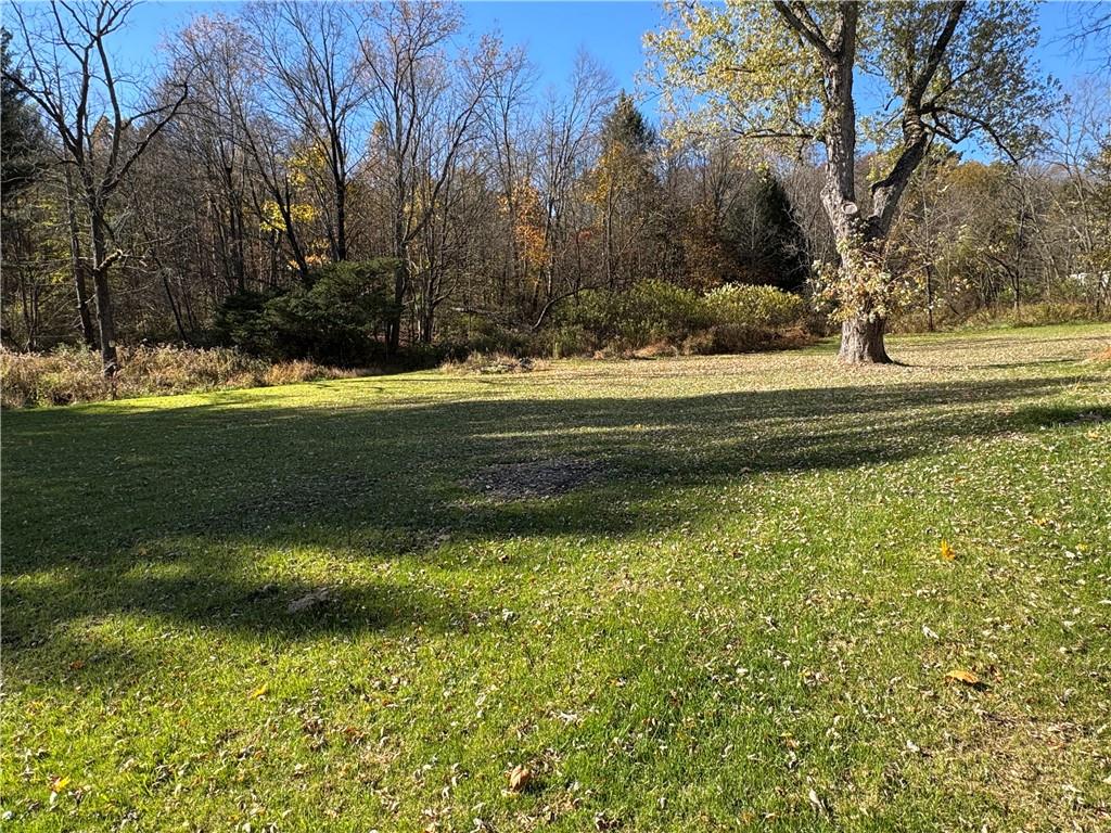 2505 Parkwood Road Shelocta, PA 15774 - Photo 18 of 19 a view of swimming pool with green space