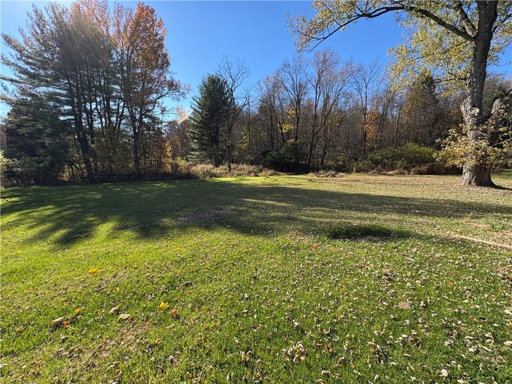 2505 Parkwood Road Shelocta, PA 15774 - Photo 19 of 19 a view of a yard with an trees
