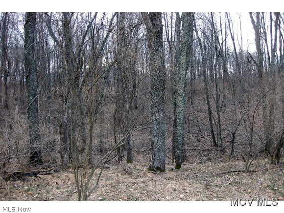 0 Rt 18 West Union West Union, WV 26456 - Photo 2 of 6 Woods
