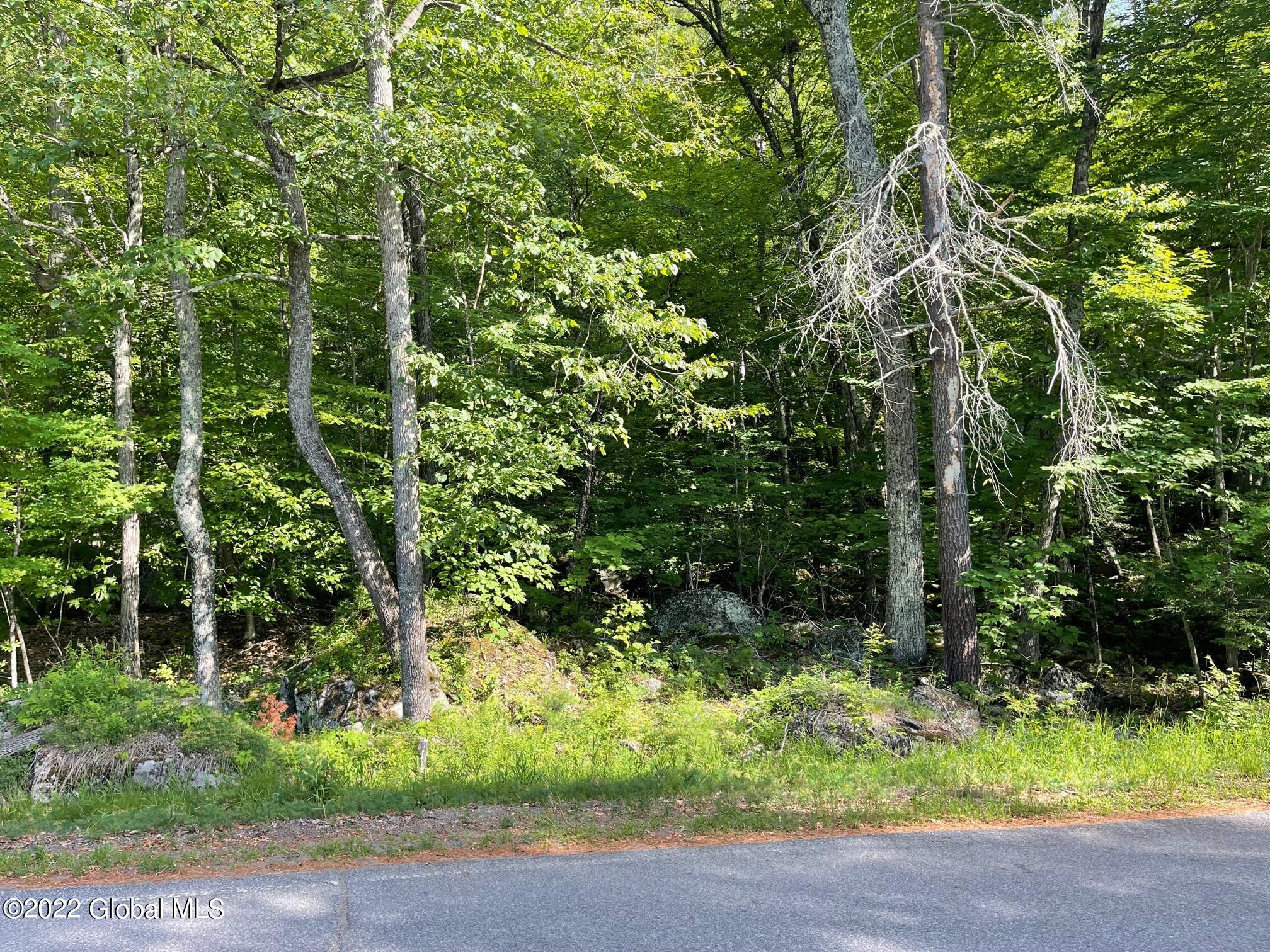 0 Palisades Road Brant Lake, NY 12815 - Photo 1 of 2 5 bl 1
