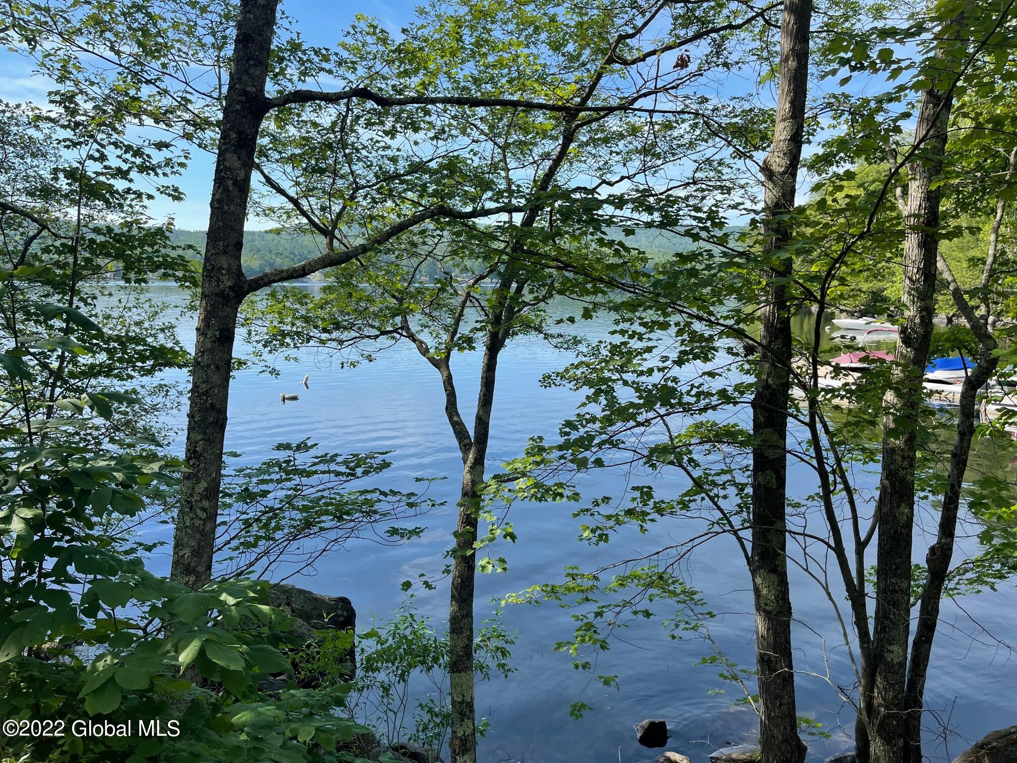 0 Palisades Road Brant Lake, NY 12815 - Photo 2 of 2 5 bl 2