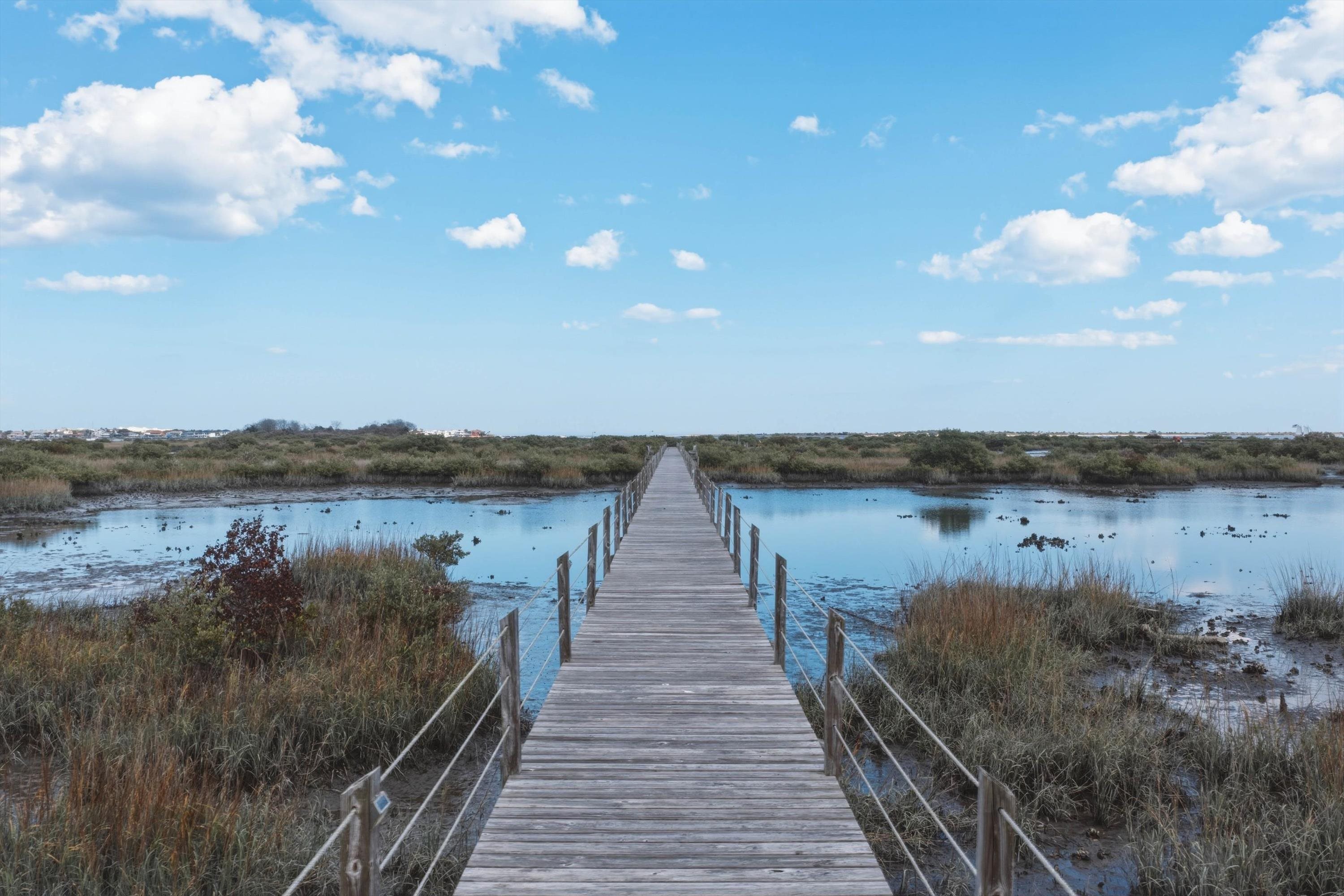 1 Radio Road, Unit 202 St. Augustine, FL 32084 - Photo 19 of 44