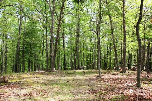 1 Green Level Road Boones Mill, VA 24065 - Photo 3 of 4 a backyard of a house with large trees
