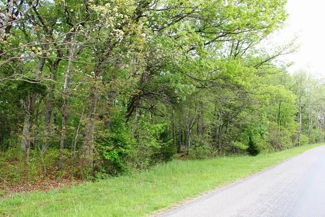 1 Green Level Road Boones Mill, VA 24065 - Photo 4 of 4 a view of a yard with a trees