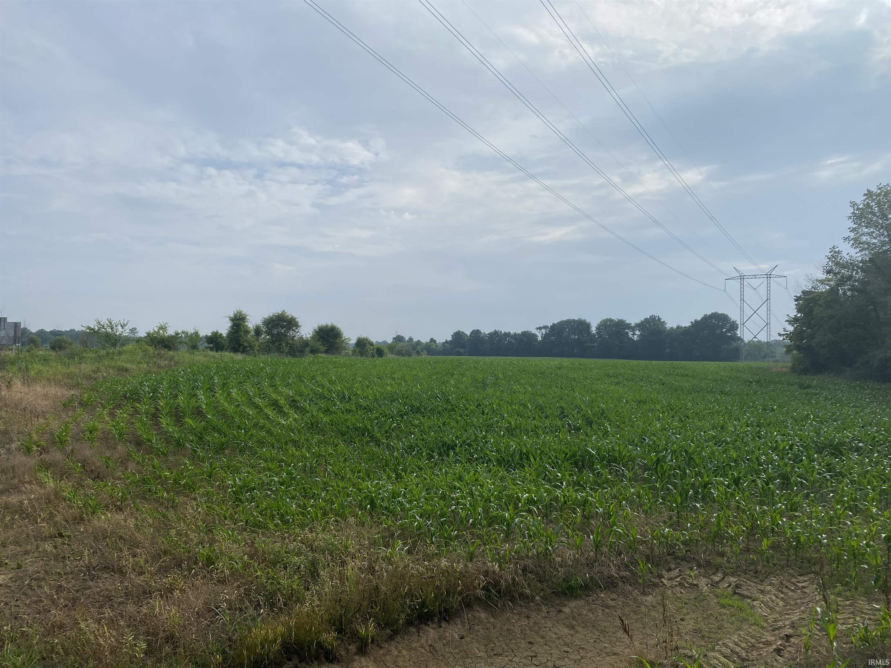 175 East Co Road Petersburg, IN 47567 - Photo 4 of 5