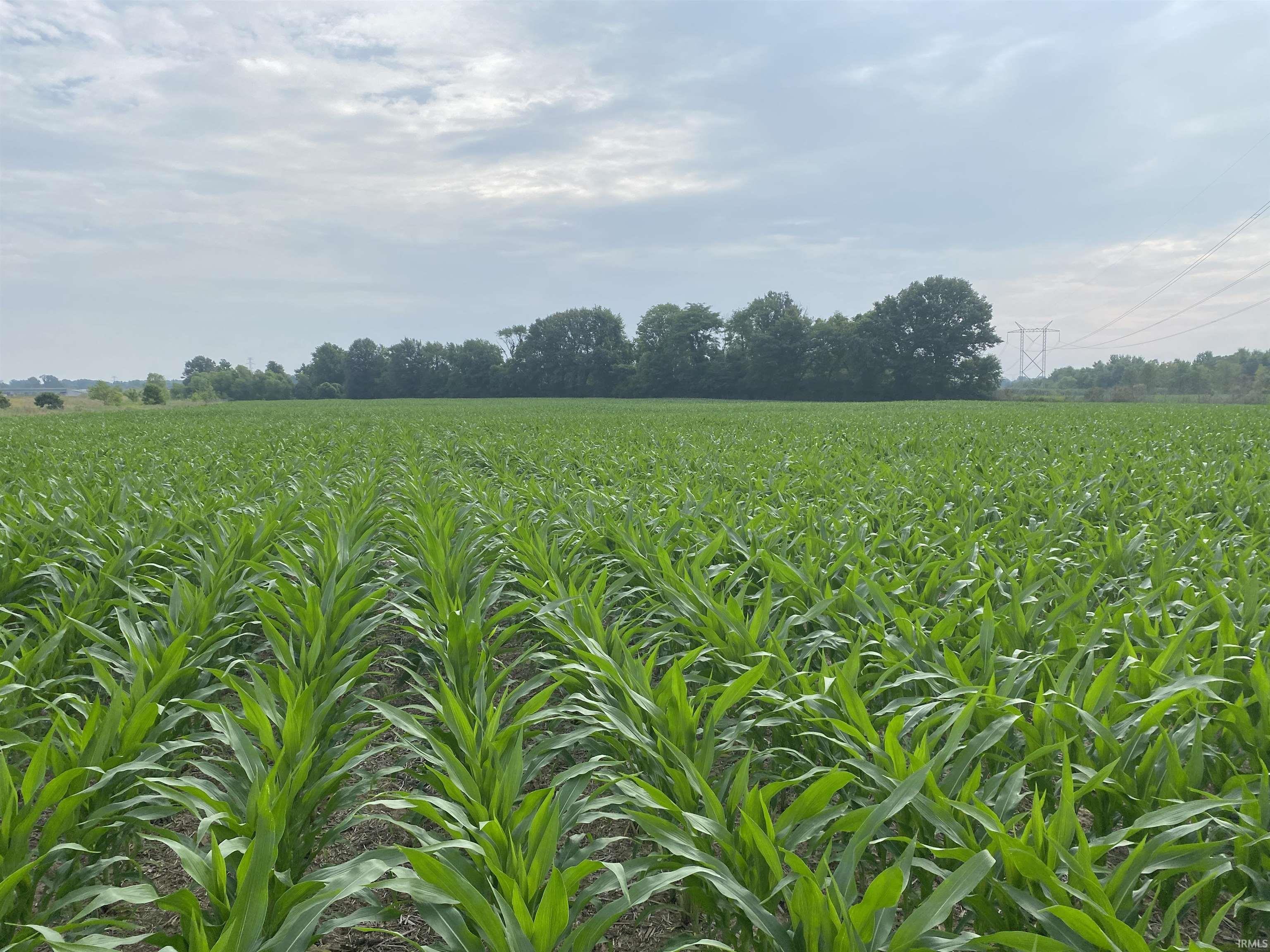 175 East Co Road Petersburg, IN 47567 - Photo 5 of 5