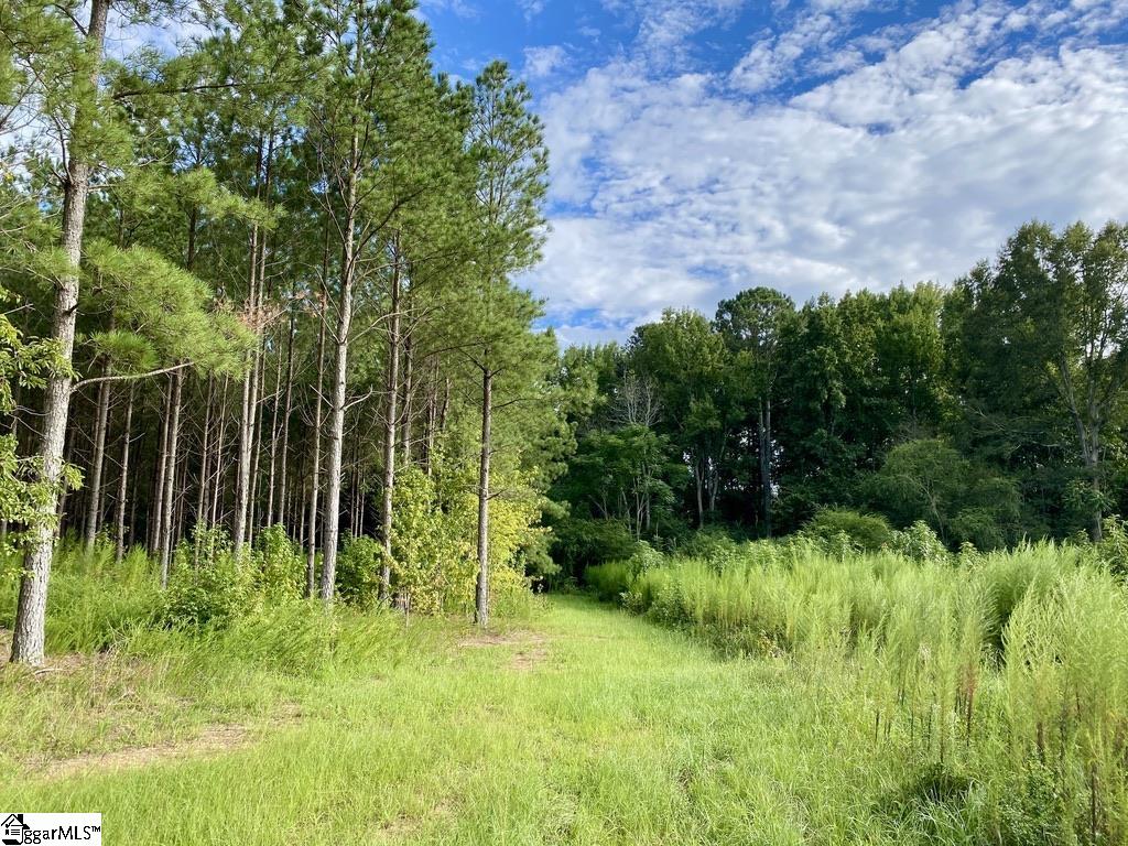 360 Woodyard Road Trenton, SC 29847 - Photo 4 of 20