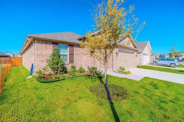 a view of a backyard with a tree
