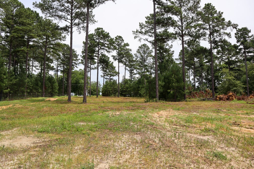 185 Ben Ivey Road Webb, AL 36376 - Photo 6 of 9