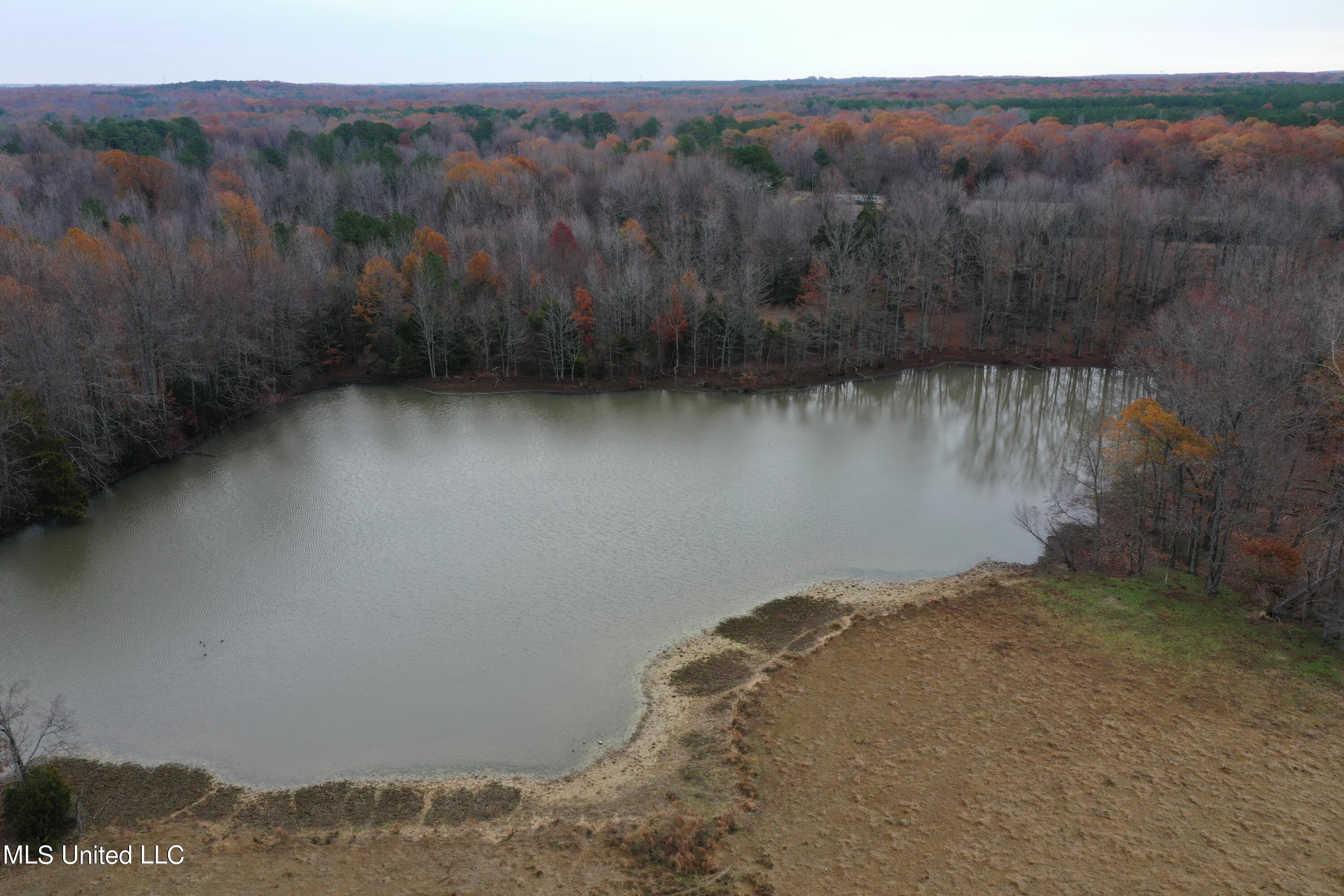 1 Gardner Road Holly Springs, MS 38635 - Photo 1 of 16 DJI_0906