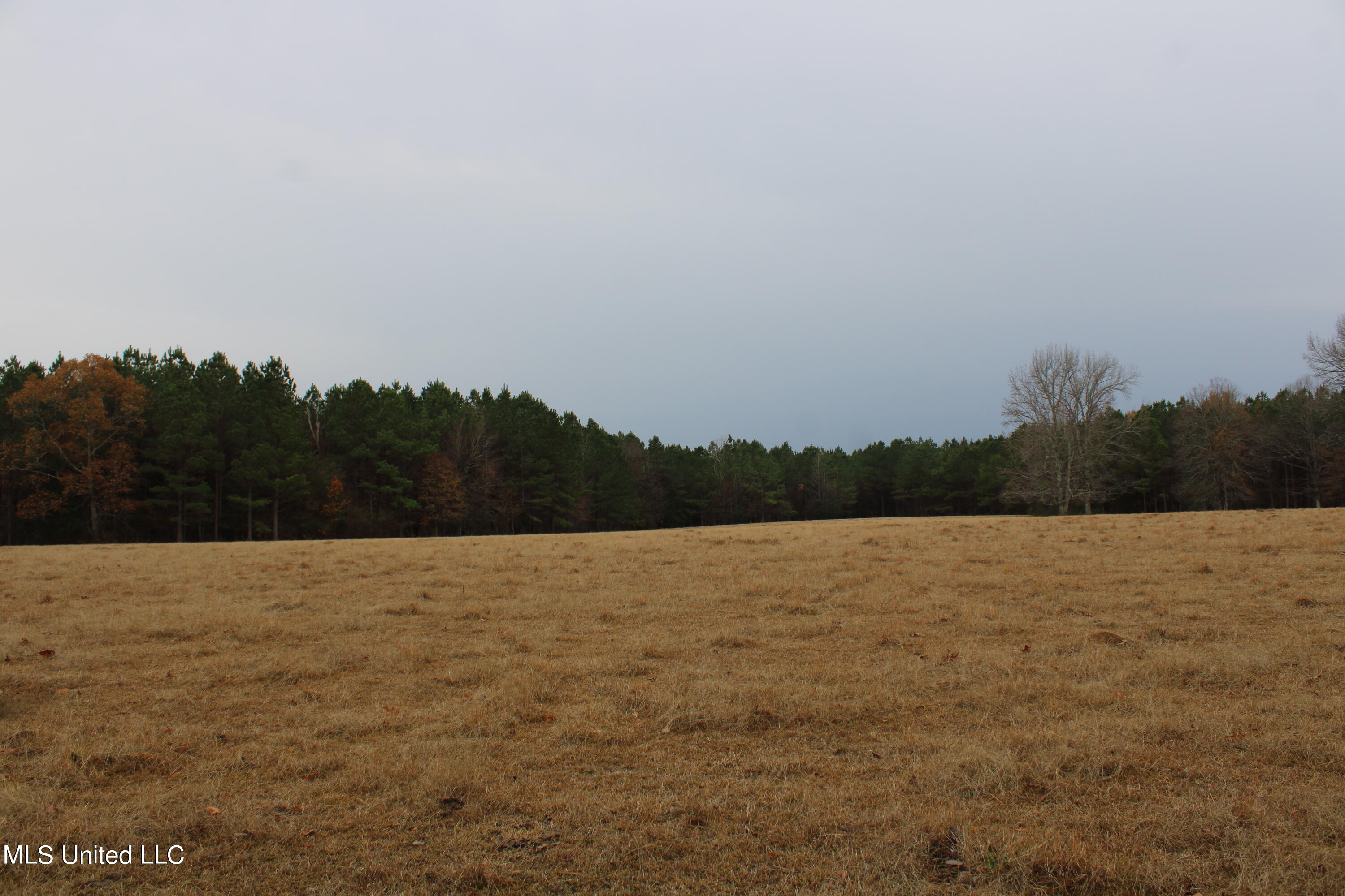 1 Gardner Road Holly Springs, MS 38635 - Photo 11 of 16 IMG_0477