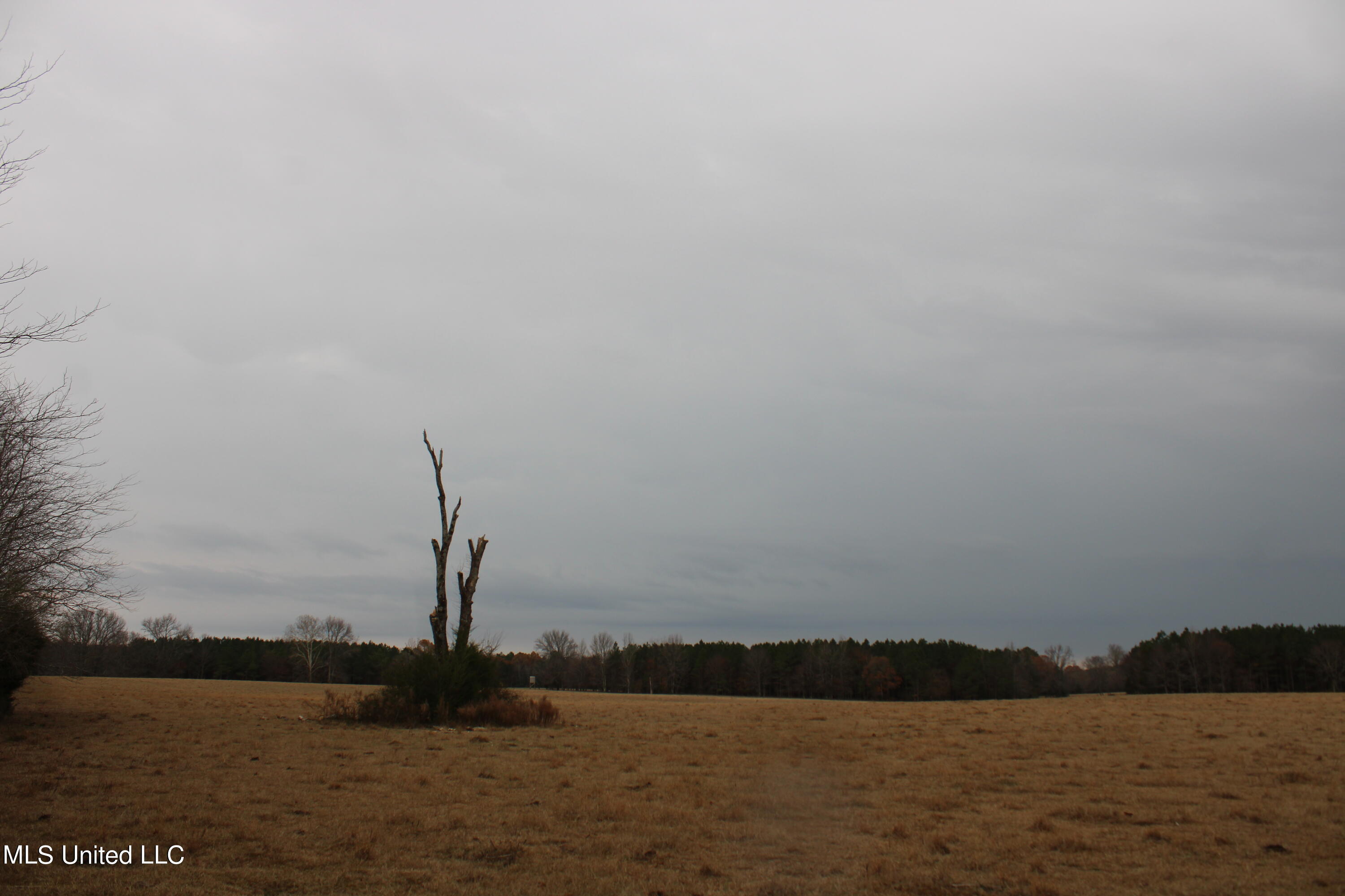 1 Gardner Road Holly Springs, MS 38635 - Photo 12 of 16 IMG_0513