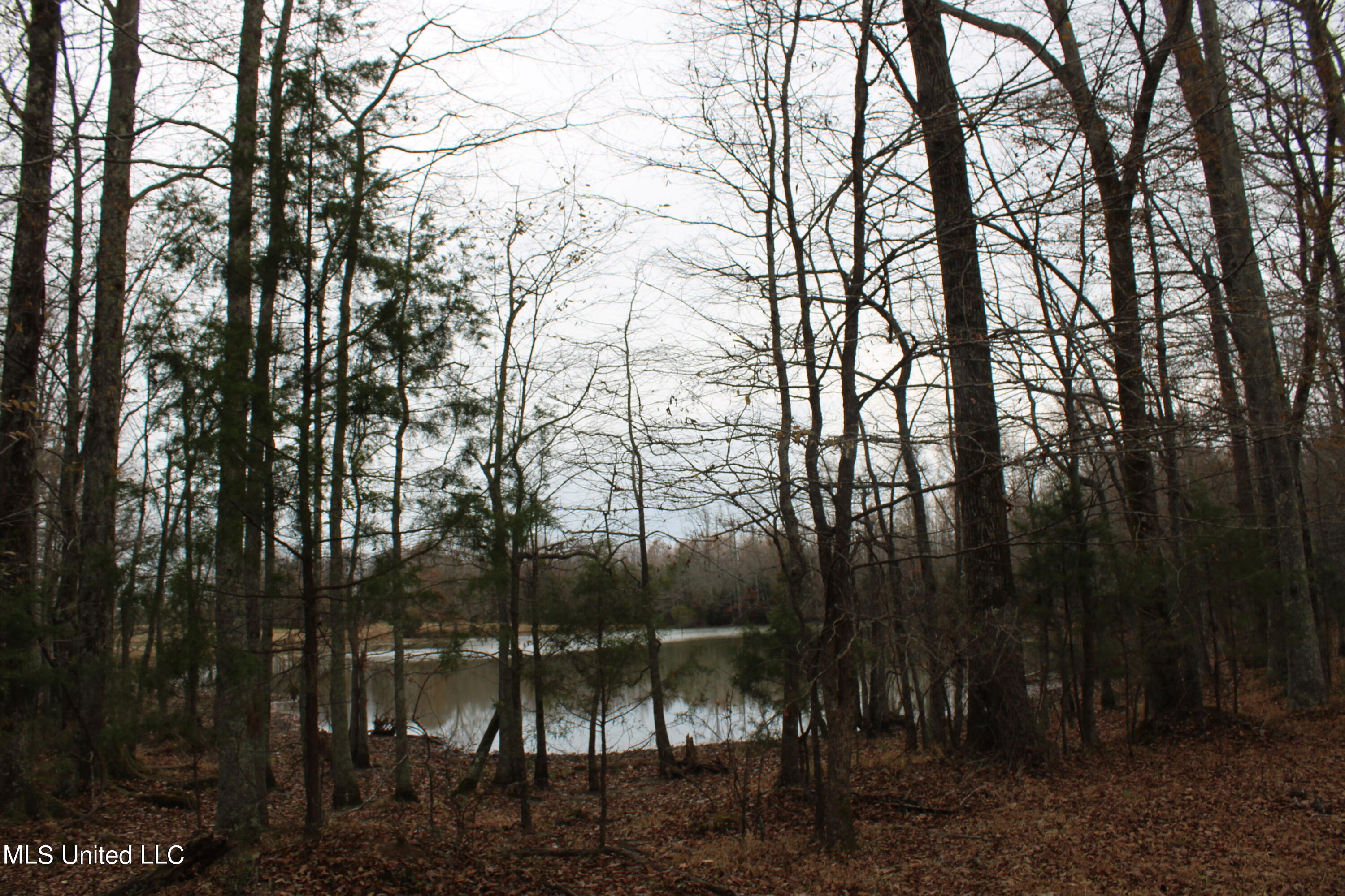 1 Gardner Road Holly Springs, MS 38635 - Photo 13 of 16 IMG_0481