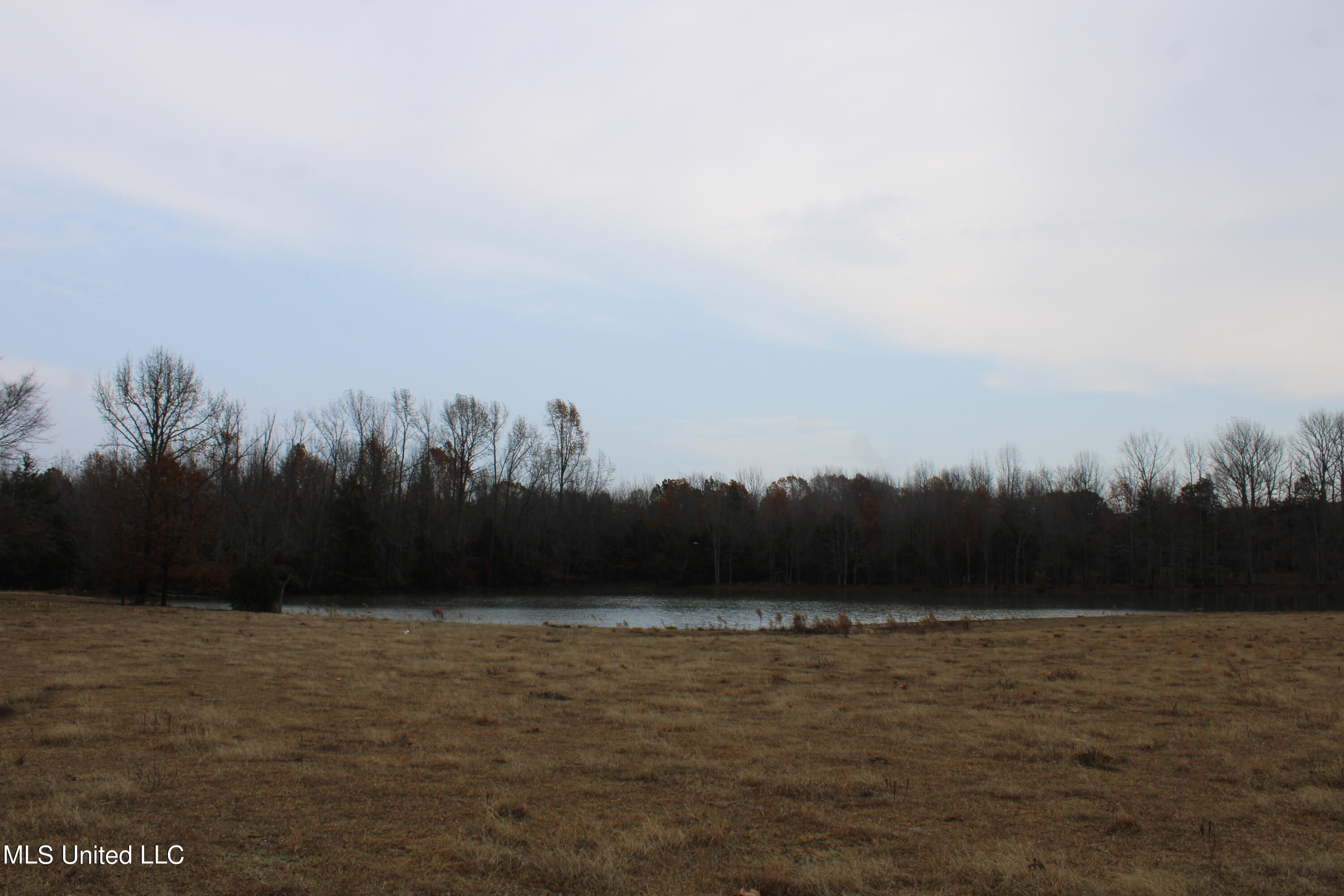 1 Gardner Road Holly Springs, MS 38635 - Photo 15 of 16 IMG_0474