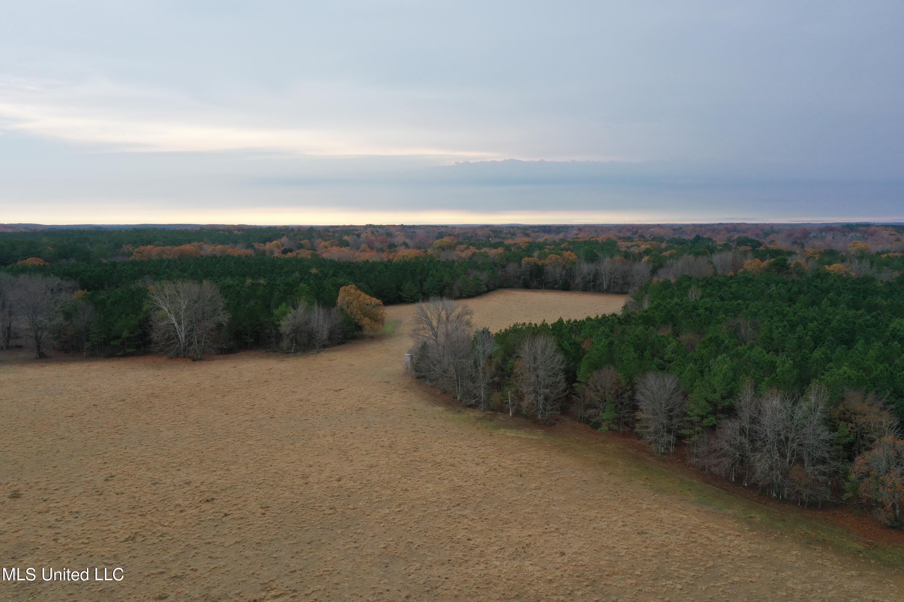 1 Gardner Road Holly Springs, MS 38635 - Photo 3 of 16 land