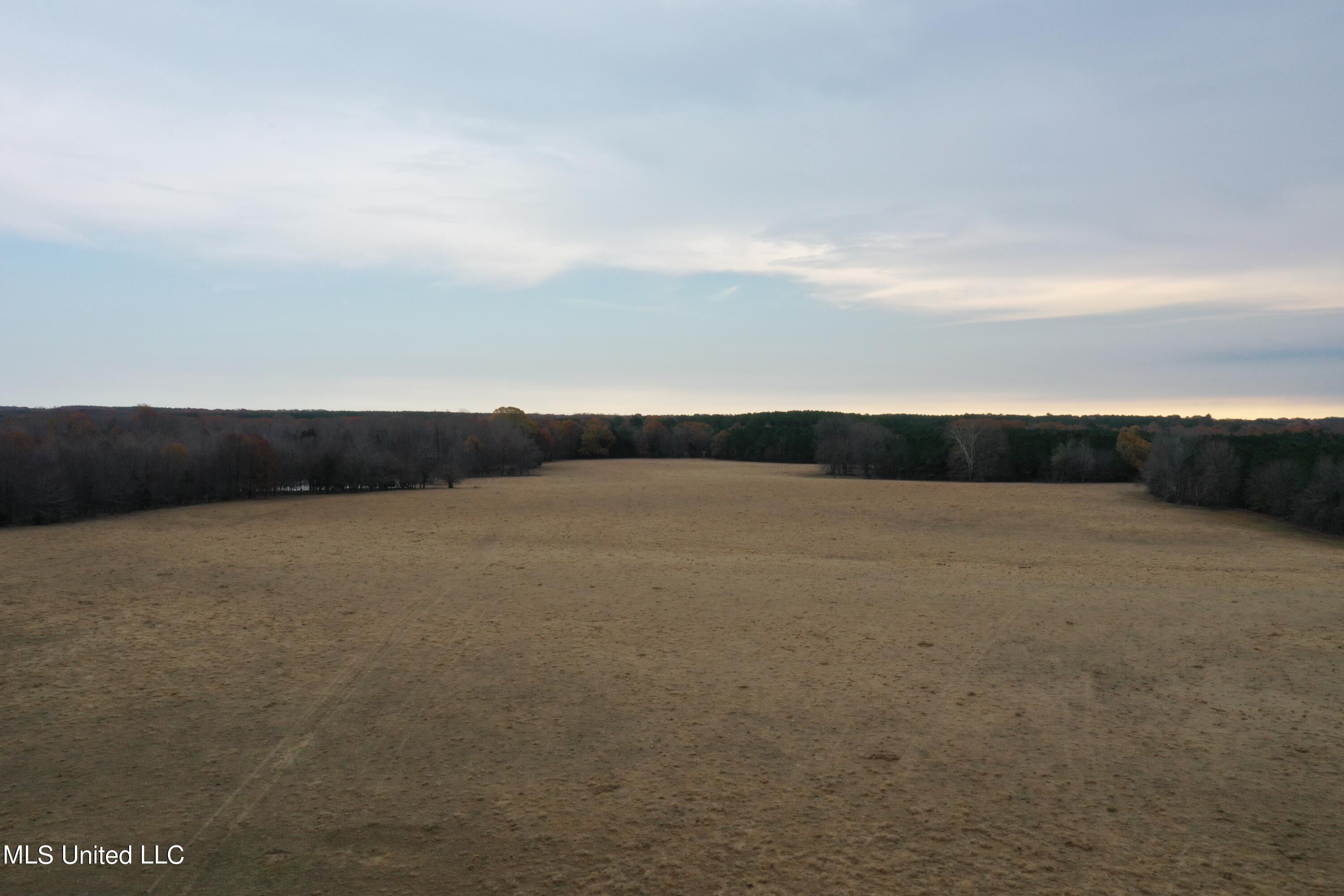 1 Gardner Road Holly Springs, MS 38635 - Photo 4 of 16 DJI_0898