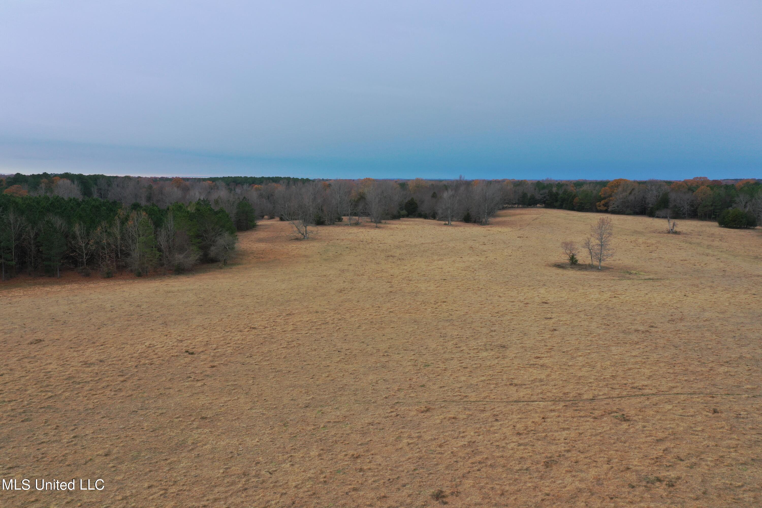 1 Gardner Road Holly Springs, MS 38635 - Photo 5 of 16 DJI_0899