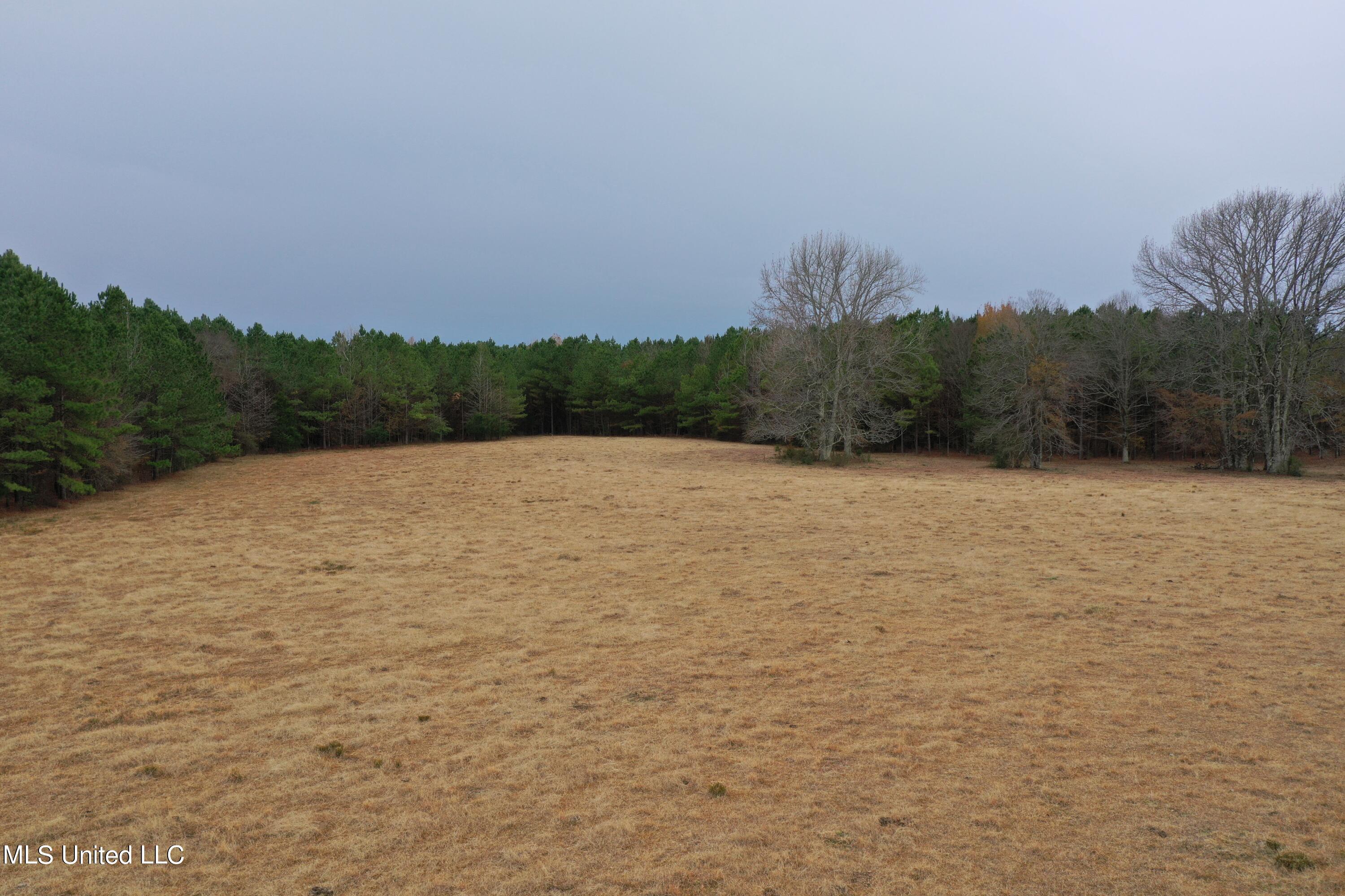 1 Gardner Road Holly Springs, MS 38635 - Photo 6 of 16 DJI_0915