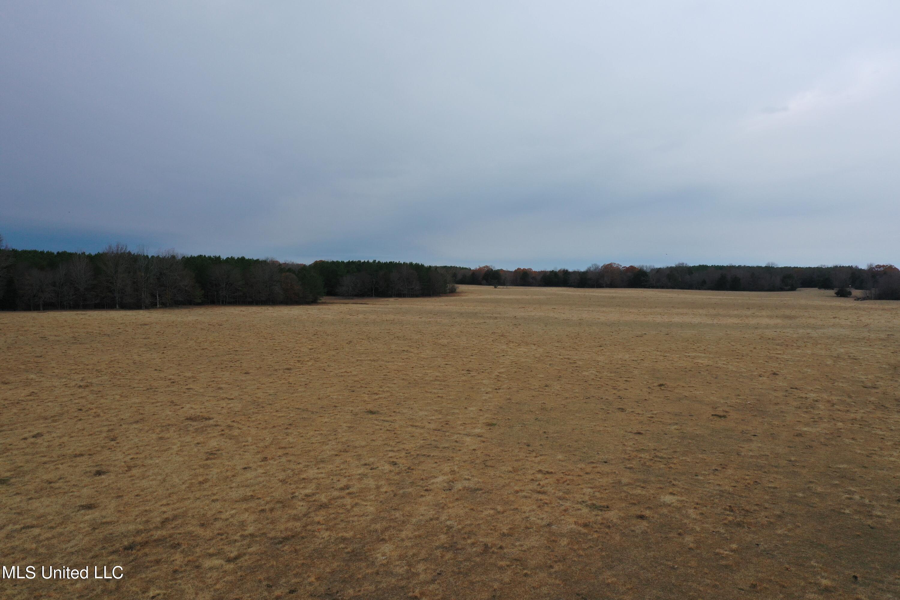 1 Gardner Road Holly Springs, MS 38635 - Photo 7 of 16 DJI_0916