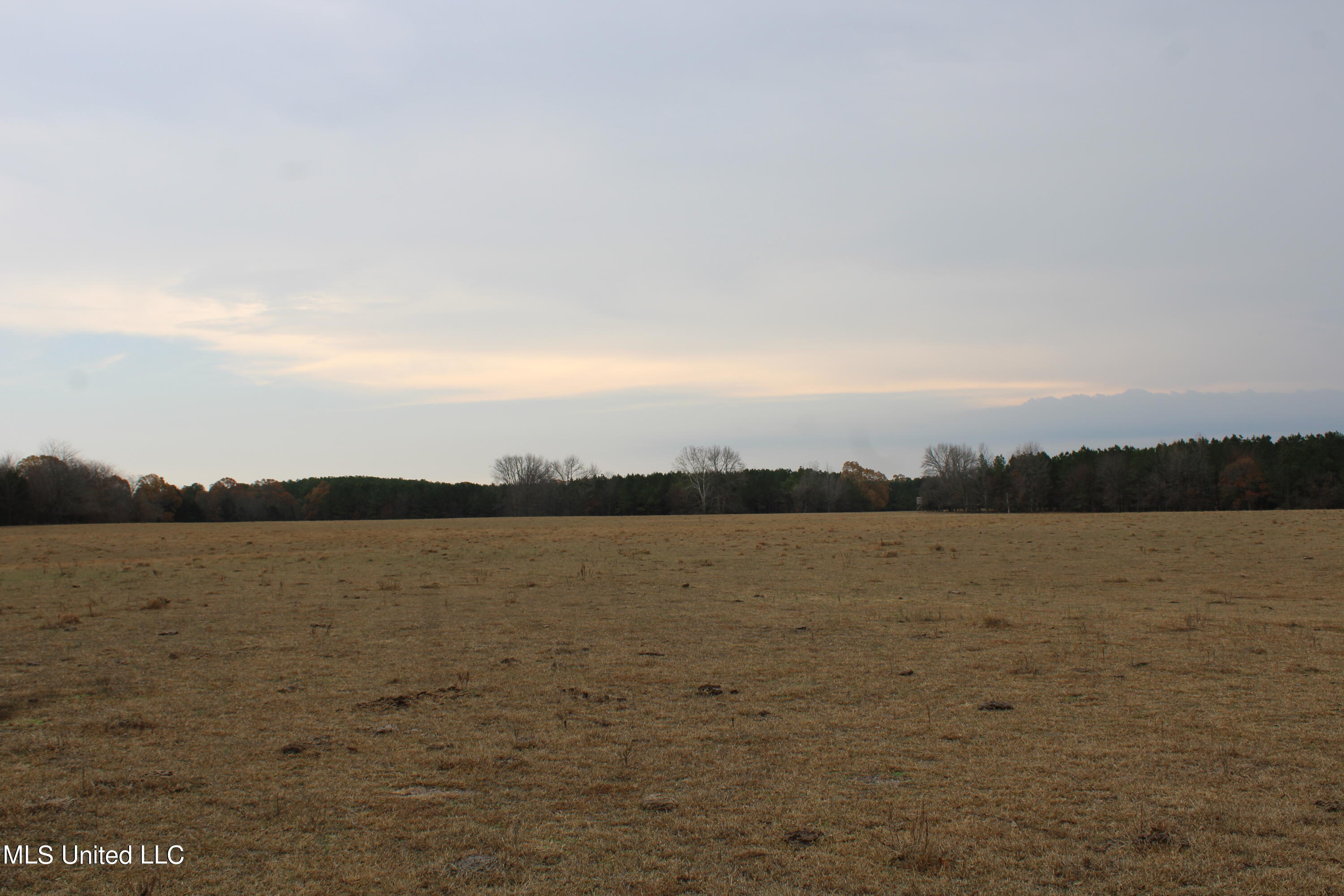 1 Gardner Road Holly Springs, MS 38635 - Photo 10 of 16 IMG_0473