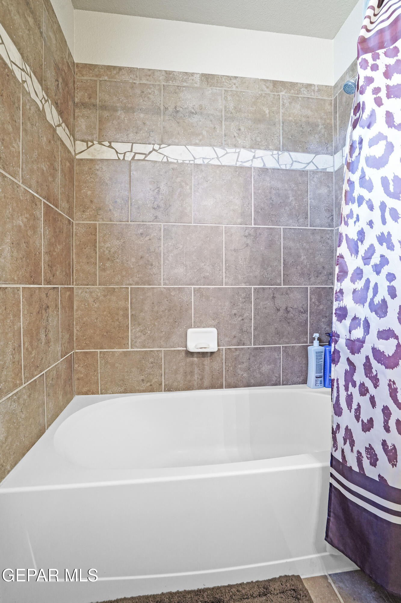 917 Danny Sanchez Place Anthony, TX 79821 - Photo 30 of 37 DSC02949