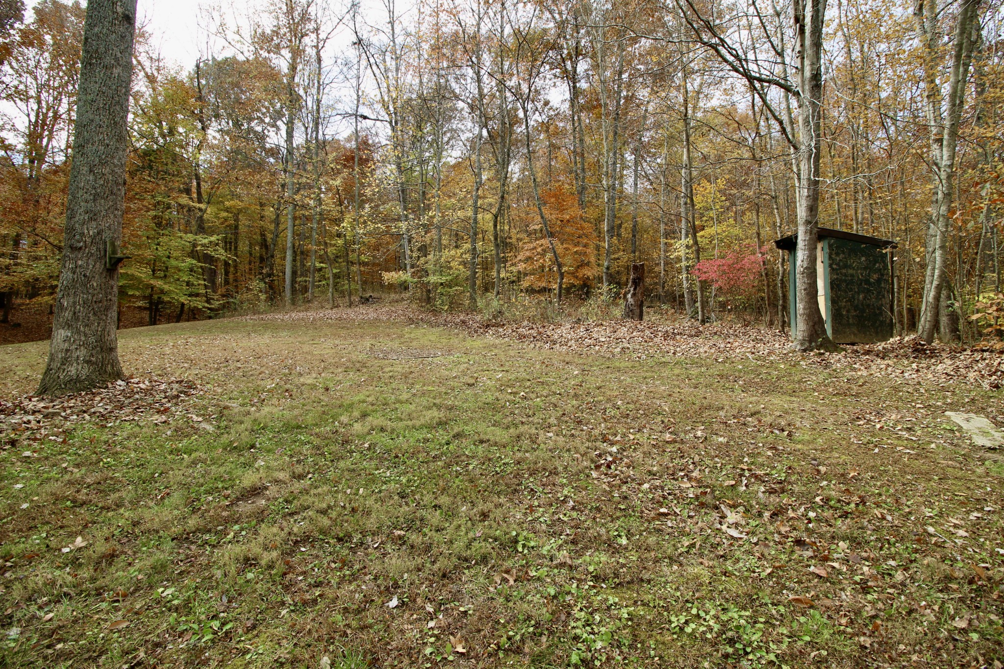 162 Lick Creek Road Dover, TN 37058 - Photo 44 of 45 Gallery Image 44