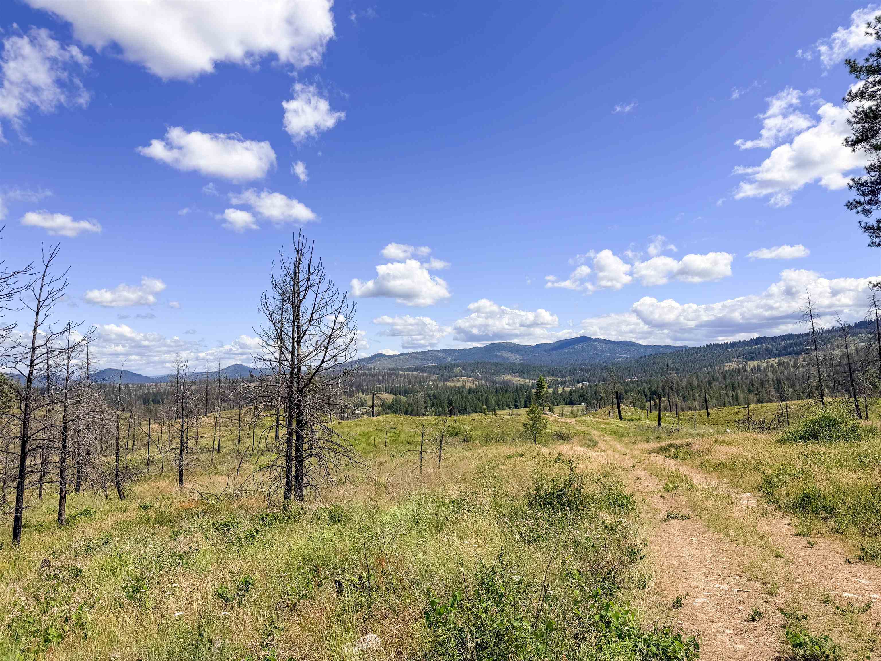 357-xx North Conklin Road Elk, WA 99009 - Photo 23 of 40 Gallery Image 23