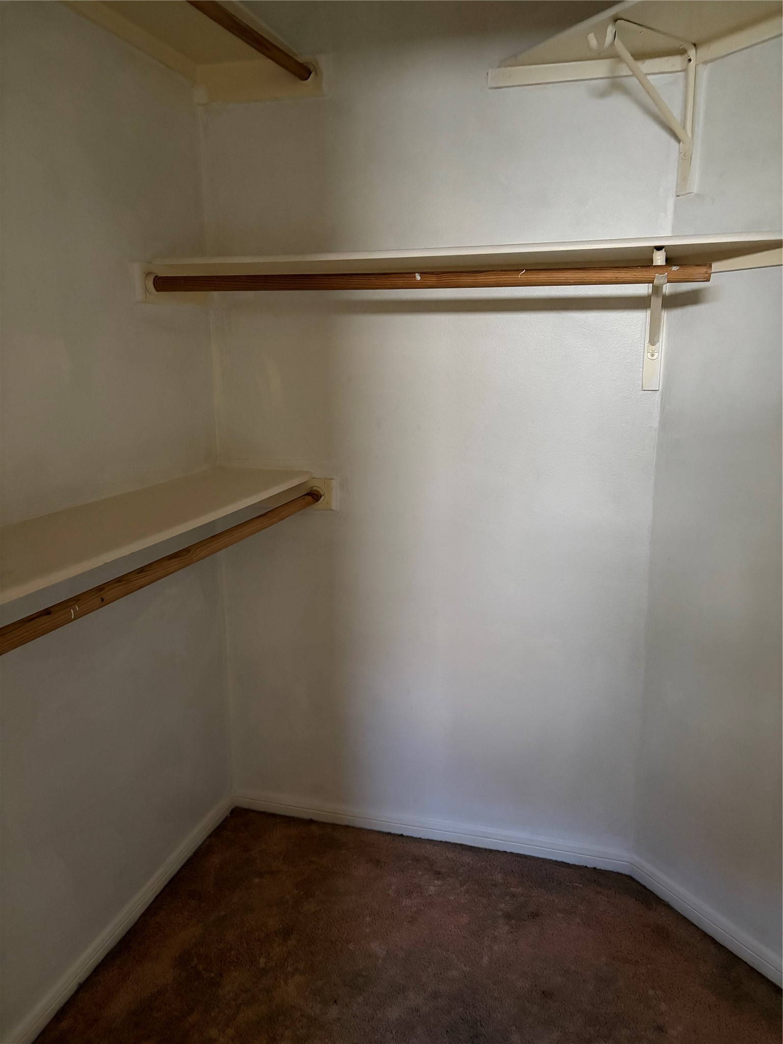 15738 Boonridge Road Houston, TX 77053 - Photo 20 of 22 a close view of closet