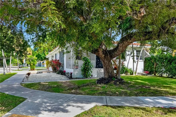 a tree in front of a white house