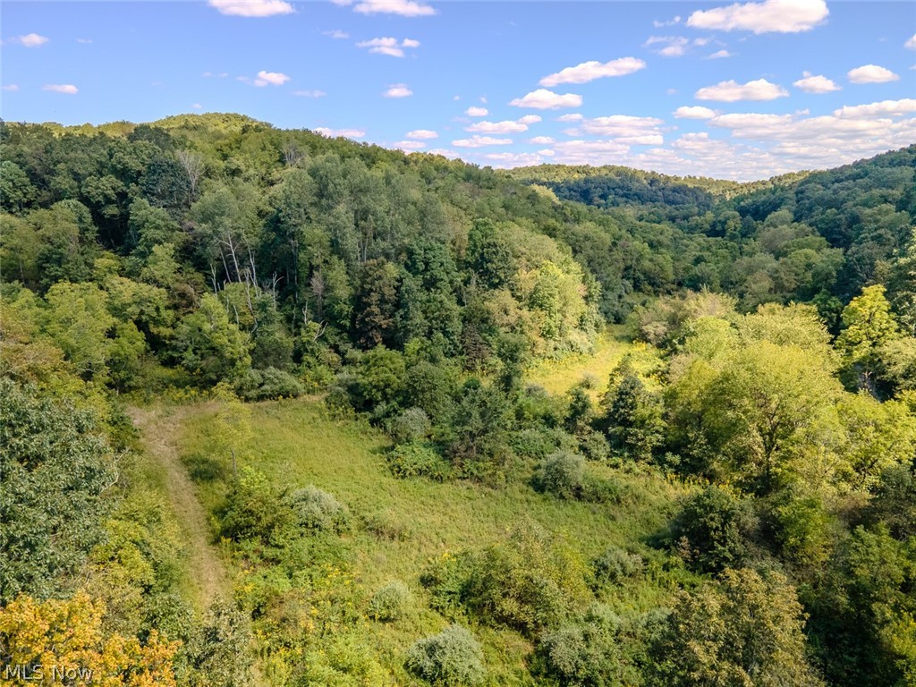 0 Brewer Road Cadiz, OH 43907 - Photo 9 of 37 View of mountain backdrop featuring a forest