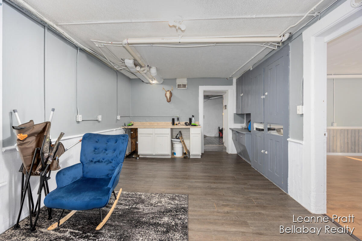 217 Dye Street Ionia, MI 48846 - Photo 14 of 19 IMG_1010