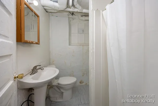 $155,000 | 217 Dye Street, Ionia, MI 48846