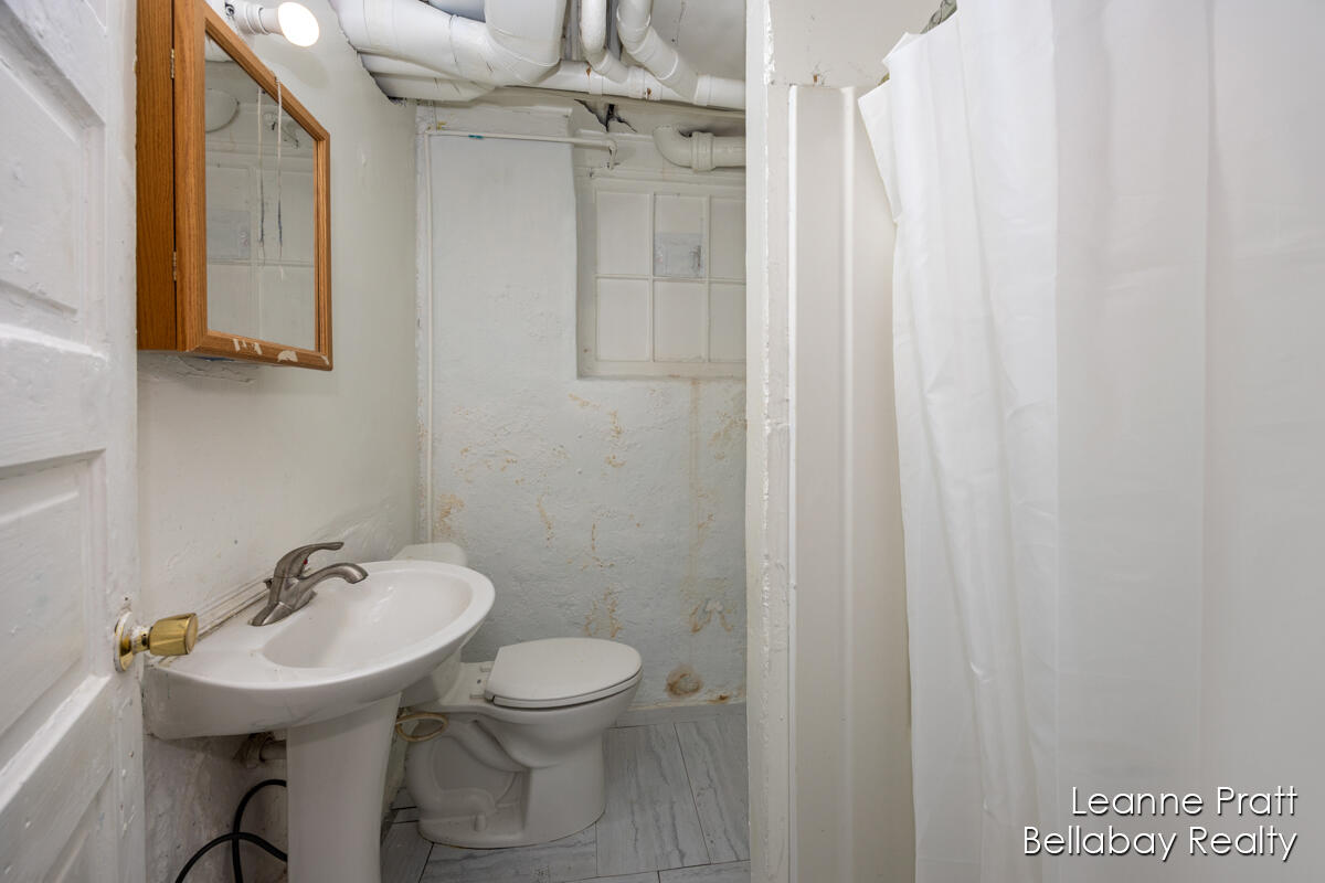 217 Dye Street Ionia, MI 48846 - Photo 19 of 19 IMG_1015