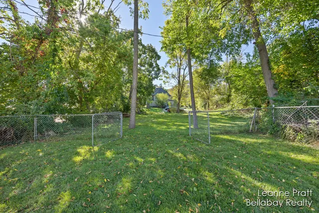 $155,000 | 217 Dye Street, Ionia, MI 48846