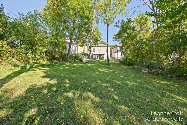 $155,000 | 217 Dye Street, Ionia, MI 48846